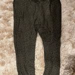 Thread and Supply Joggers Photo 1