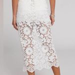 Generation Love Medina White Lace Skirt Sz 2 NWT regularly $265 Photo 1