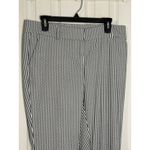 Ann Taylor Factory Navy Blue/White striped Pants, Size 6 Photo 1