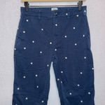 J.Crew  AB649 Vintage Straight Navy Blue Polka Dot Wig Waisted Stretch Pants 26 Photo 3