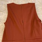 Black Swan  rust form fitted dress Photo 5