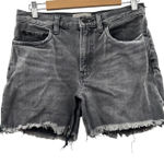 Everlane Gray Charcoal Wash Raw Hem Mid Rise Denim Jean Shorts Size 27 Photo 0
