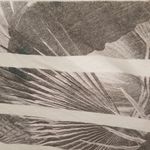 ALLSAINTS 💕💕 Java Ole Tee Shirt ~ Chalk White (S) Photo 10