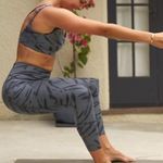 Rachel Zoe New Zebra Stripe Print High Rise Ponte Legging Grey Black Photo 11