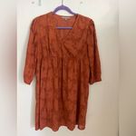 Daniel Rainn  Terracotta Long Sleeve Dress Photo 2