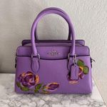 Coach  Mini Darcie Carryall With Rose Print cl423 Photo 0