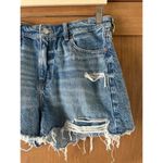 American Eagle High Rise Denim Mom Shorts Distressed Women’s size 10 Photo 2