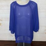 Petticoat Alley Anthropologie Sheer Open Back Blue Blouse Photo 1