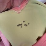 Aerie  Women’s Large Striped One Piece Swim Photo 1