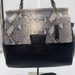 Antonio Melani  Black Leather Snakeskin Top Handle Satchel Handbag Purse Photo 2
