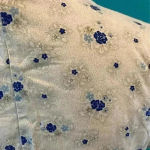 A pea in the pod ⭐️  maternity shirt in size small Photo 2