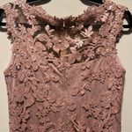 Tadashi Shoji  Floral Lace Illusion Sequin Knee Length Dress, Blush/Pink, Size 6 Photo 7