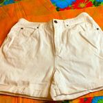 Liz Claiborne Claiborne shorts petite 12 Photo 0