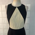 Classiques Entier Classique entier black colorblock sleeveless sheath dress size 6 Photo 1