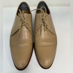 Everlane Italian Leather Modern Oxford Shoes Beige Size 7 VGUC Photo 1
