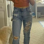 American Eagle Hi Rise Mom Jean Photo 0