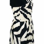 EXPRESS Zebra Striped Dress, Black, Cream, 8 Photo 3