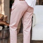 Frank & Eileen Pale Pink Wicklow Preppy Coastal Quiet Luxury Tennis Prep Pants 6 Photo 1