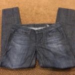 William Rast  Rhinestone Pockets Blue Skinny Jeans Photo 2