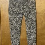 Democracy  Abroad Ab Technology animal print pants. Size 6 Photo 3