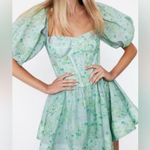 Bardot  Kiah Puff Sleeve Green Floral Corset Mini Dress Size 12 Photo 2