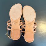 Kelly & Katie  Brown Braided Sandals Photo 5