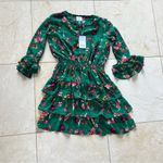 MISA Los Angeles Misa NWT $218 Sz 16 Green Longsleeve Ruffled Dress Photo 0