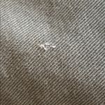 American Rag Jacket Photo 15