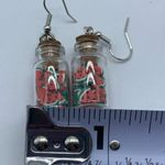 NEW Watermelon slices in mason jar fashion earrings Photo 10
