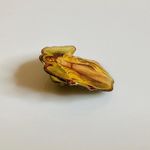 Guardian Angel Lapel Pin Yellow Photo 1