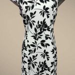 Preston & York Dress Ivory White Black Floral Leaves sz 14 Photo 3