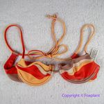 New! Set! Zulu & Zephyr Free People Tie Curve‎ Brief Bikini, size 2 Red Photo 3
