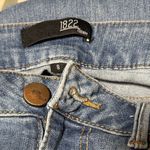1822 Denim  skinny distressed jeans women's size 8 Photo 1