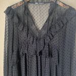ZARA Sheer Black Ruffle Dotted Blouse Photo 2