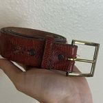 Justin Boots Justin brown genuine lizard reptile western belt 28 Photo 0