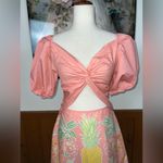 Darling New Kenny Flowers Baha Mar Mini Dress! Pink Size L Photo 2