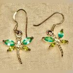 Earrings Photo 1