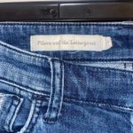 Pilcro and the Letterpress Pilcro and The Letterpress Boyfriend Slim Jeans Size 27 Photo 3