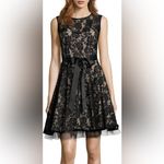 Betsy and Adam Elegant Black Lace Dress Photo 9