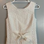 Lilly Pulitzer Clarise Dress in Resort White Petite Sand Dollar Eyelet Size 2 Photo 7