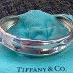 Tiffany & Co. Sterling Silver Nature Leaf Cuff Bangle Bracelet 925 6” Photo 1