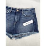joe's jeans The Emmy Raw Hem Denim Jean Shorts in Zenith Blue Size 29 NWT Photo 1