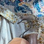 Billabong sandy shores gold floral jumpsuit with pockets Photo 7