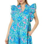 Lilly Pulitzer  Aldena Floral Ruffle A Line Mini Dress Sz Small Photo 0