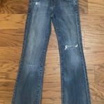American Eagle Vintage  Boyfriend 77 Jeans Size 2 Photo 0