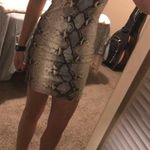 Blue Blush snake print body con dress Photo 0