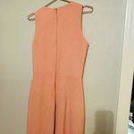 Parker Black Women's Pink Crepe Madeline Sleeveless Ruffle Gown Dress Size 10 Photo 12