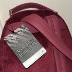 Lounge Fly Game Of Thrones Joffrey Cosplay Mini Velvet Rare Backpack NEW Disney Photo 11
