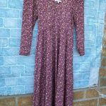 Love Shack Fancy Poeta Dress in Cherry Wine dress XS Photo 3