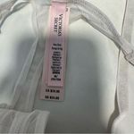 Victoria's Secret Victoria’s Secret Sheer Shine Waist-Cinching Garter Belt
And Thong Set Photo 7